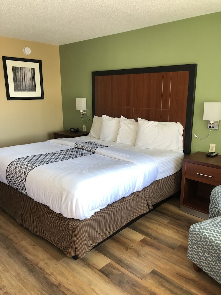 Knight's Inn Motel - photo 17