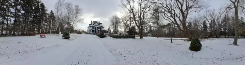 Annfield Manor — Unknown City — photo 5