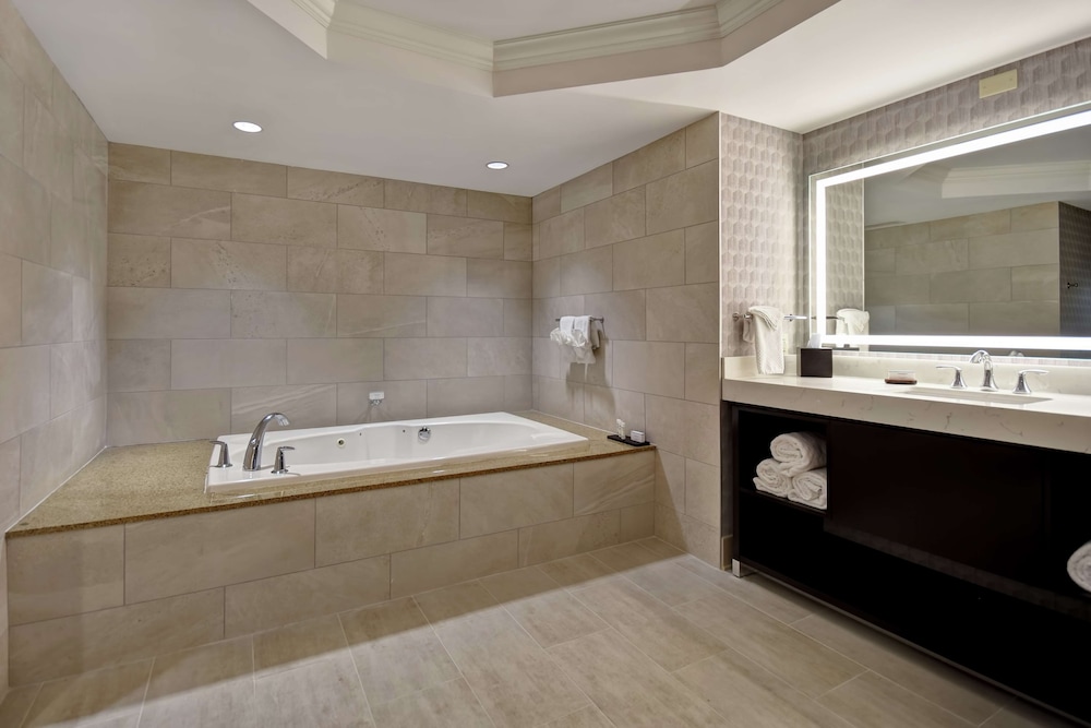 Embassy Suites Little Rock - photo 49