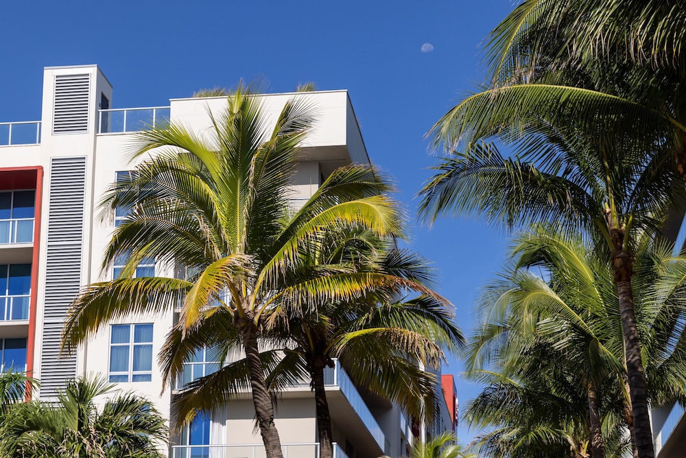 Costa Hollywood Beach Resort - photo 90