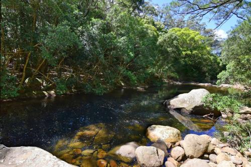 Rainforest River Retreat Kangaroo Valley — Robertson — photo 3