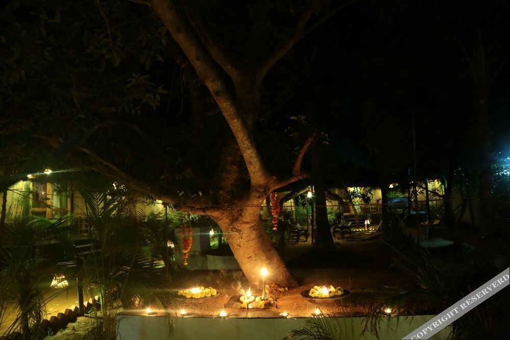 Patnem Garden Cottages in Canacona, India