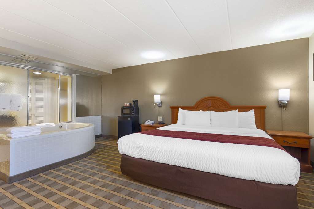 Comfort Inn University Center - photo 37