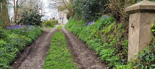 The Manse featuring the Daisy Camrose — 4-Star Luxury Hotel in Haverfordwest, United Kingdom