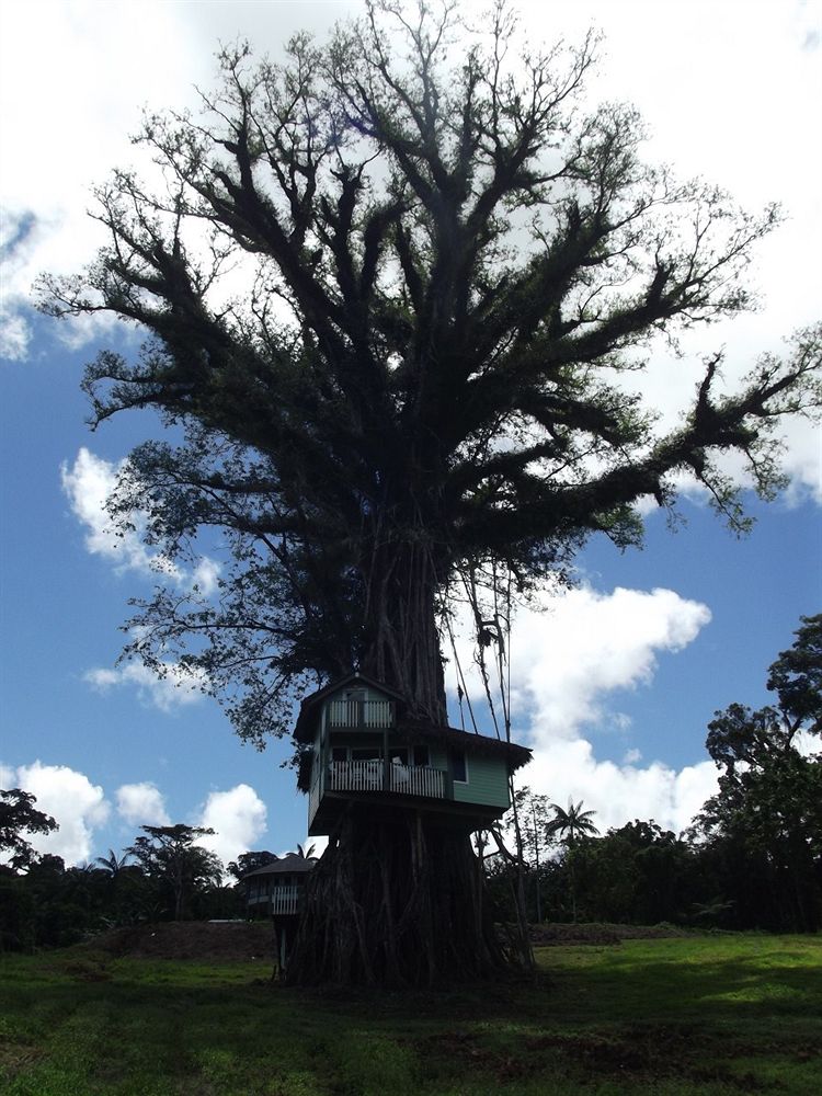Lupe Sina Treesort in Apia, Samoa