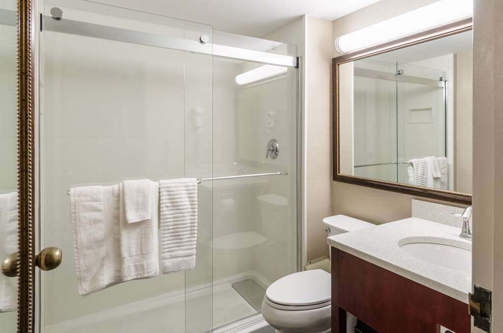 Comfort Inn & Suites West Springfield - photo 18