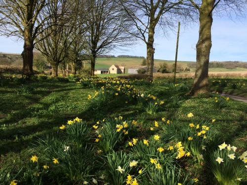 Higher Melcombe Manor — Ansty — photo 2