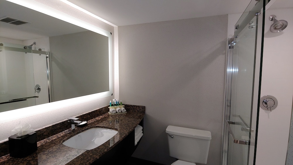 Holiday Inn Express Rolling Meadows Schaumburg Area by IHG - photo 13