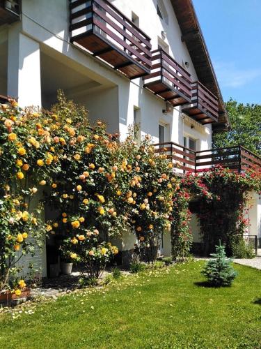 Stay Sandy - carbon neutral hotel in Truro