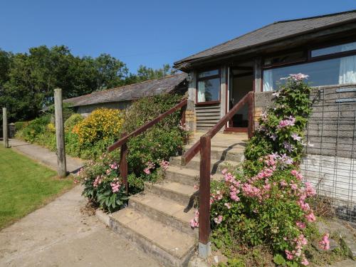 The Bushel in Bideford, United Kingdom