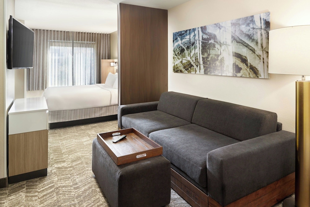 Springhill Suites By Marriott Atlanta Six Flags - photo 8