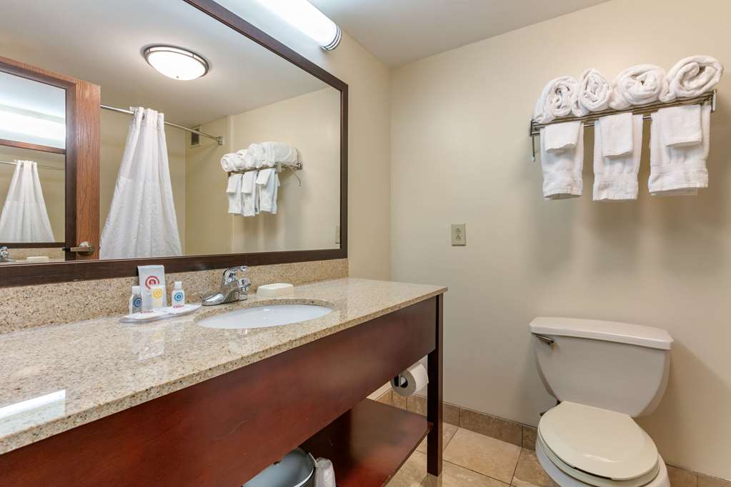 Comfort Inn Chattanooga Downtown Southside - photo 25
