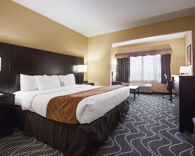Comfort Suites Lake Ray Hubbard - photo 21