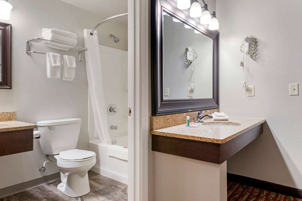 Econo Lodge Lakeview - photo 29