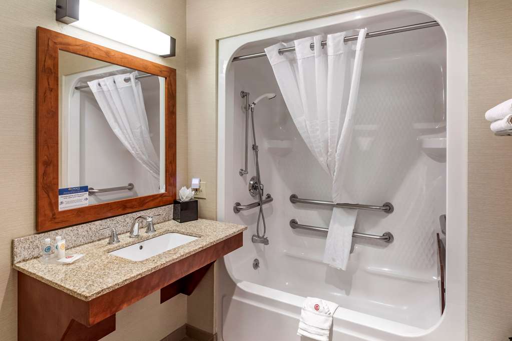 Comfort Inn & Suites Carbondale on the Roaring Fork - photo 20