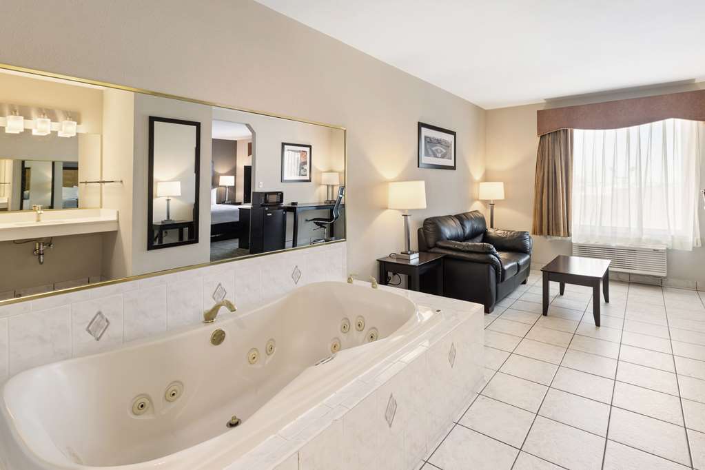 Best Western Inn & Suites Midway Airport - photo 9