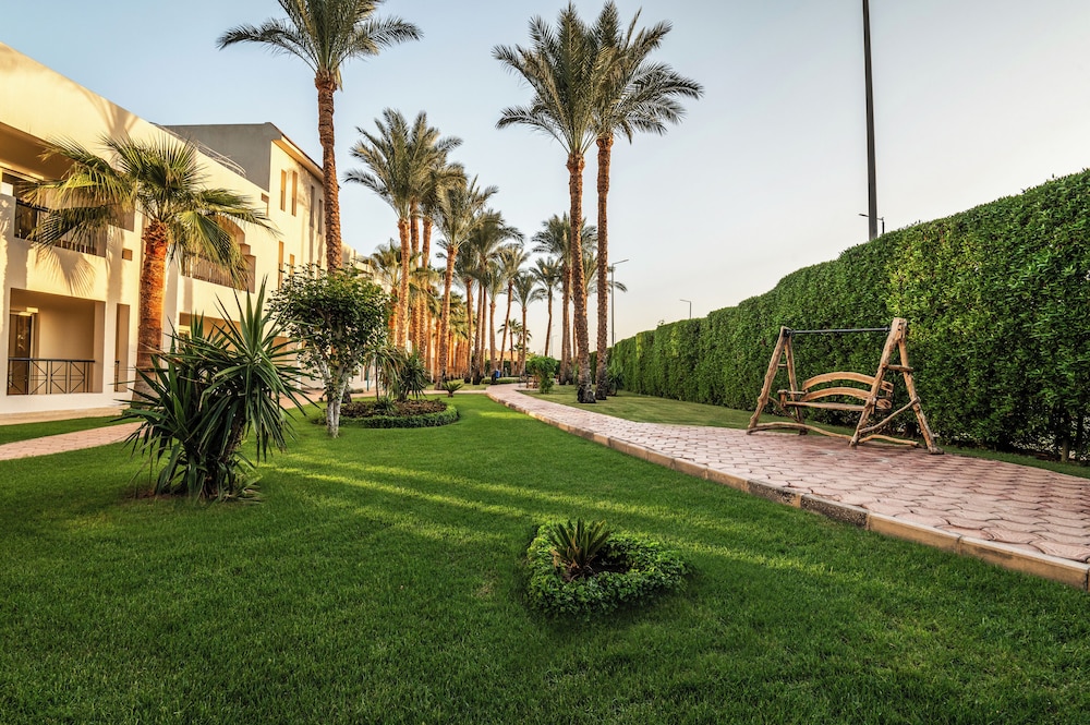 מראה חיצוני