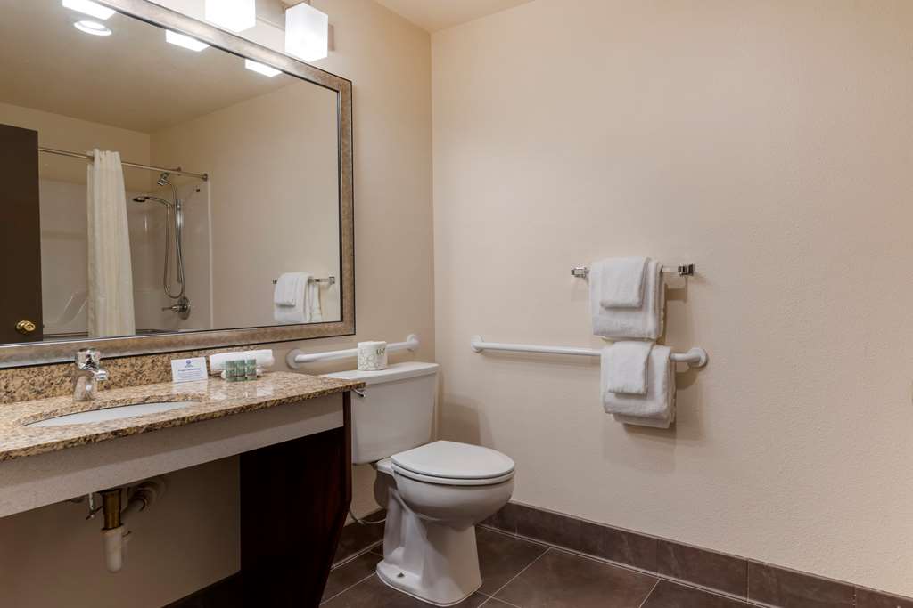 Best Western Pony Soldier Inn Airport - photo 22