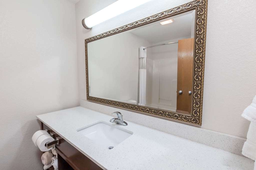 Baymont by Wyndham Auburn - photo 11