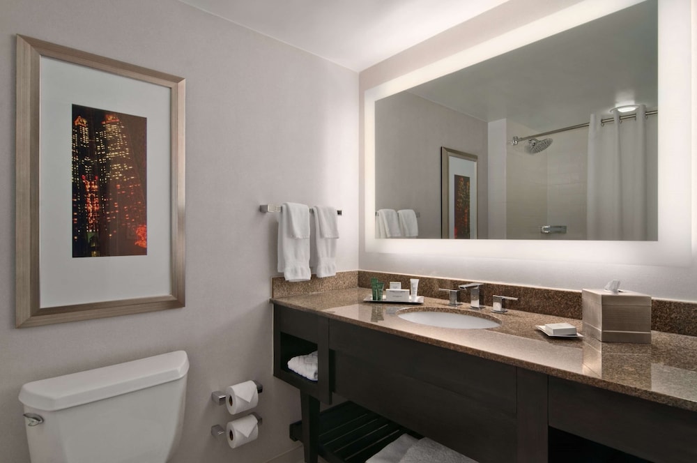 Hilton Atlanta Airport - photo 40