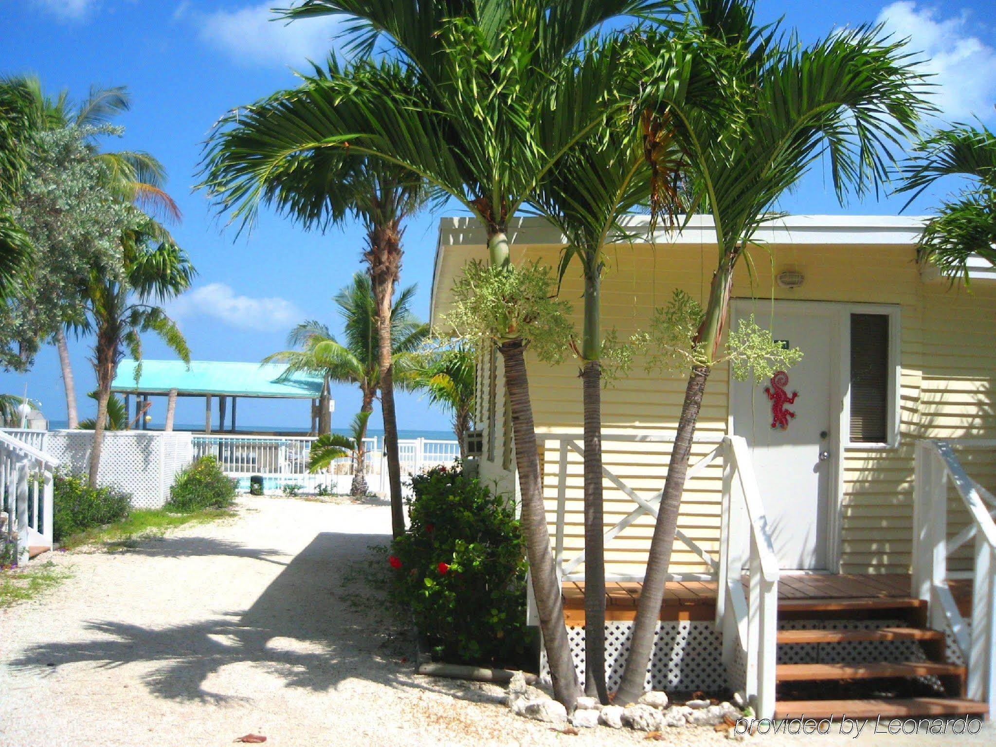 Bonefish Resort - photo 10