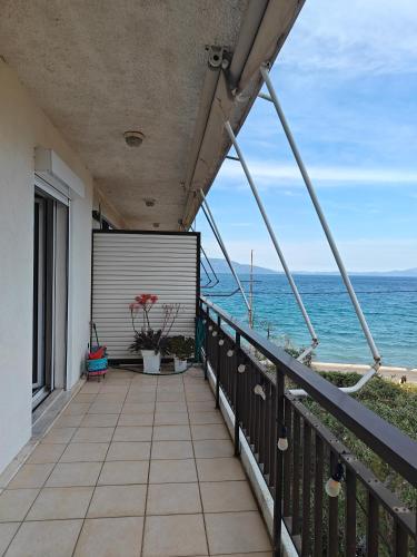 Thanos’ seaside apartment — Oropos — photo 3