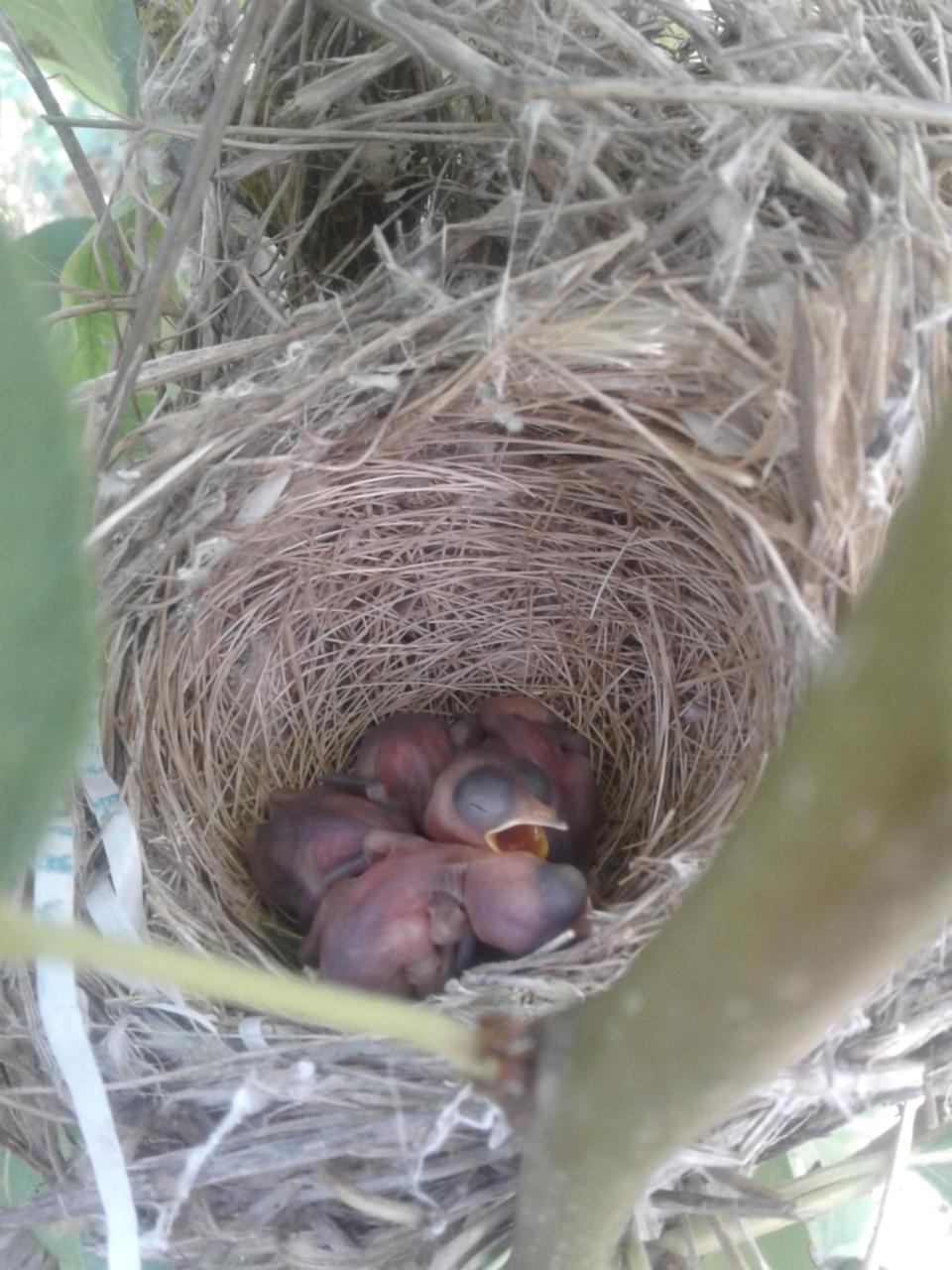 ferme Walila in Meknes, Morocco