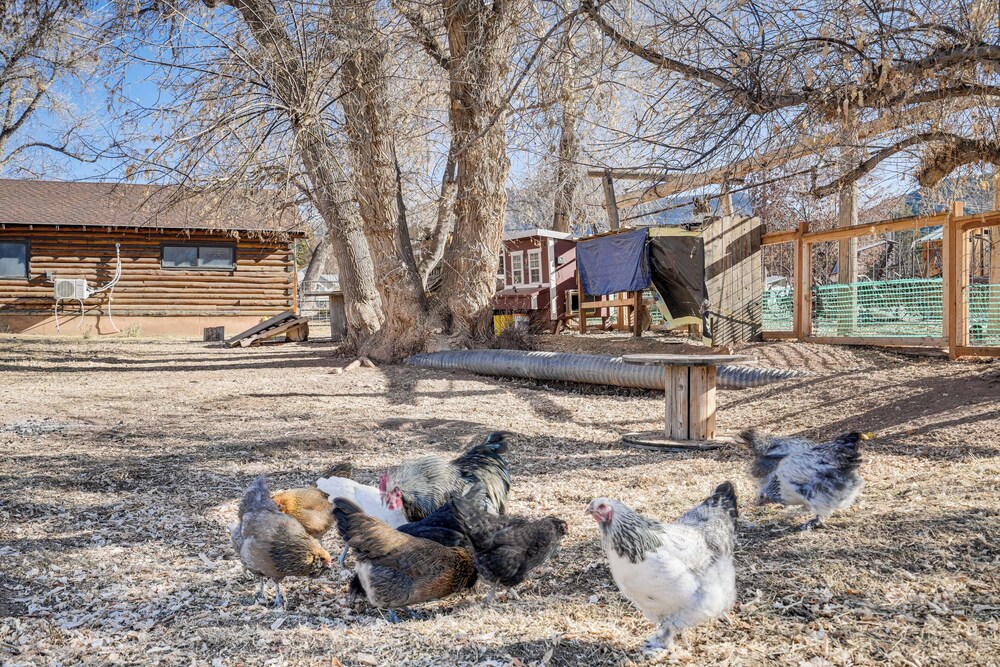 Cozy Parowan Studio: 12 Mi to Brian Head Resort - photo 21