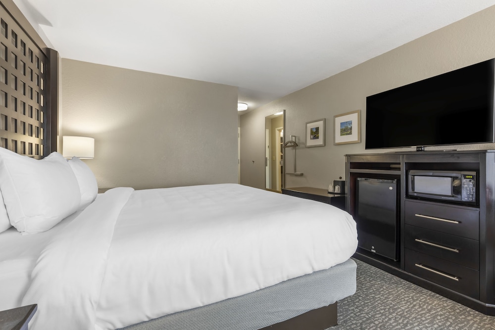 Comfort Inn Plano Dallas - photo 15