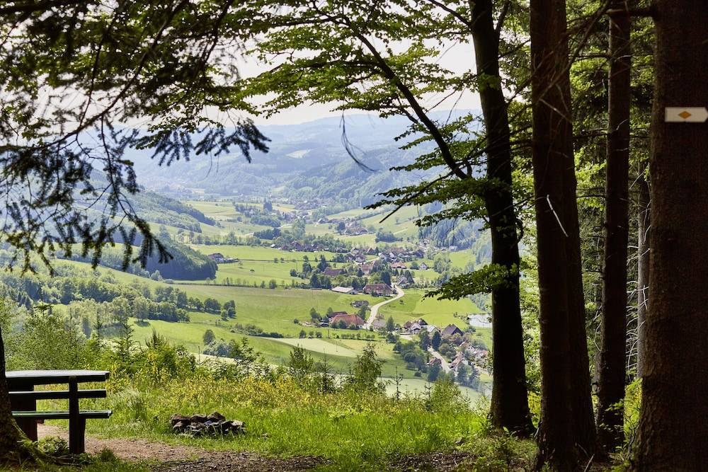 Land view from property