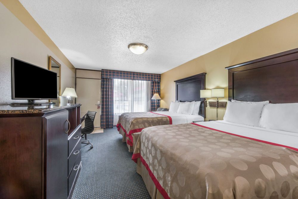 Vivo Living New Braunfels - photo 8