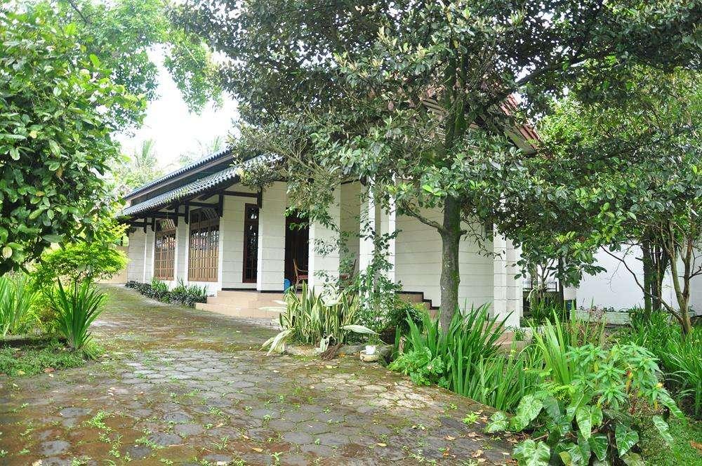 Sewu Padi - last minute hotel in Yogyakarta