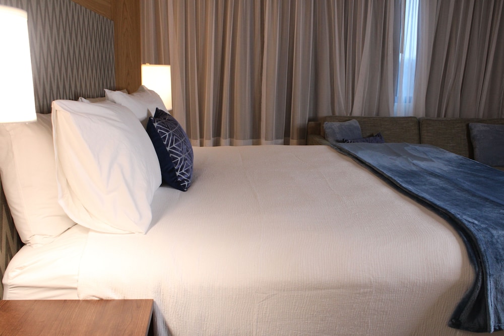 Wyndham Flint Grand Blanc Bishop Airport Confe - photo 8