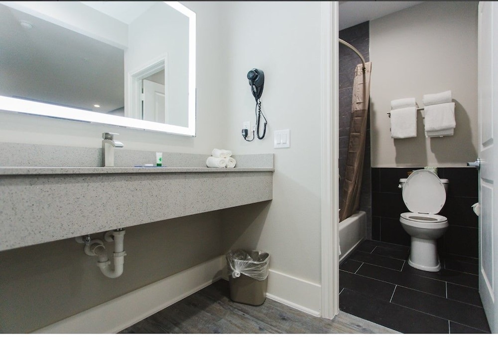 Palace Inn Conroe - photo 29