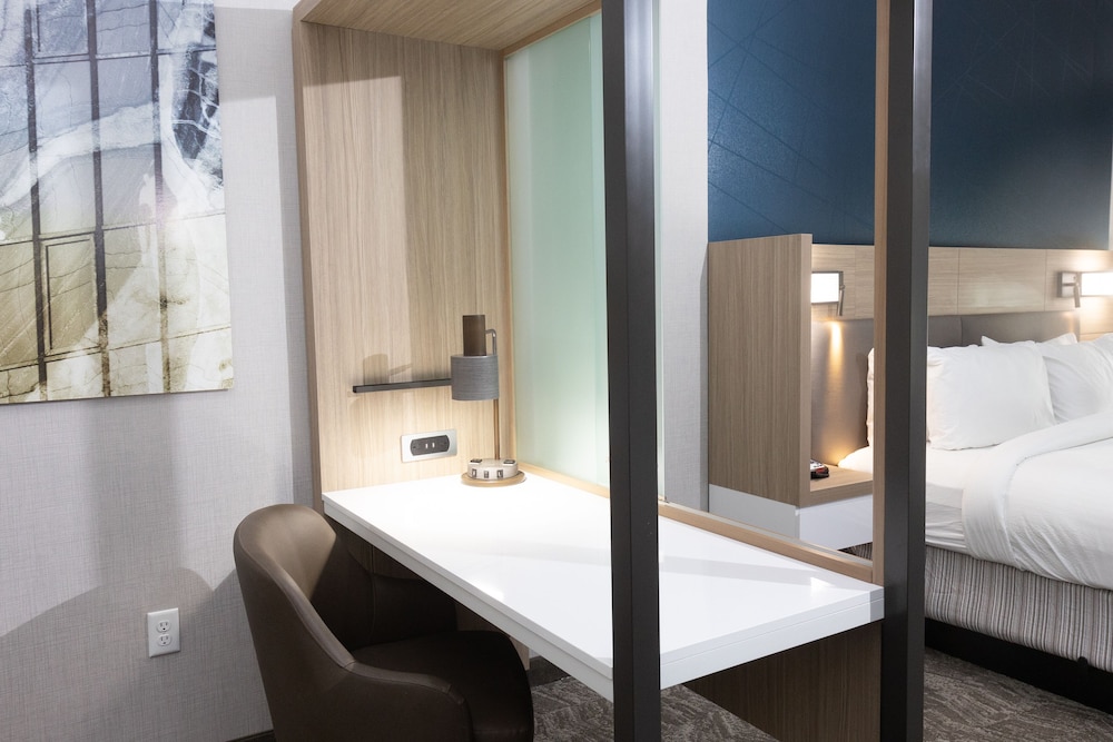 SpringHill Suites by Marriott Slidell - photo 10