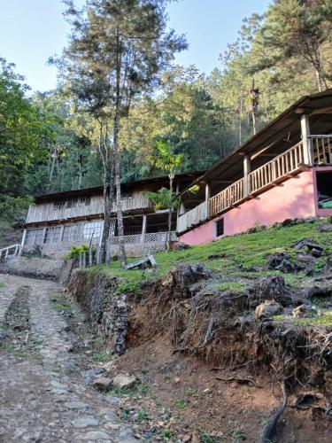 Finca Elvira in Unknown City, Guatemala