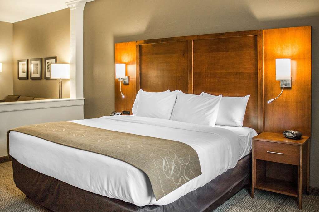 Comfort Suites Hartville North Canton - photo 17