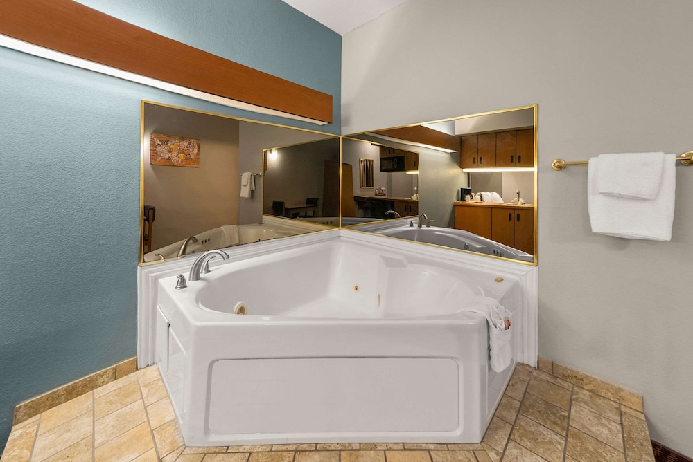 Econo Lodge Inn & Suites Mesquite Dallas East - photo 24