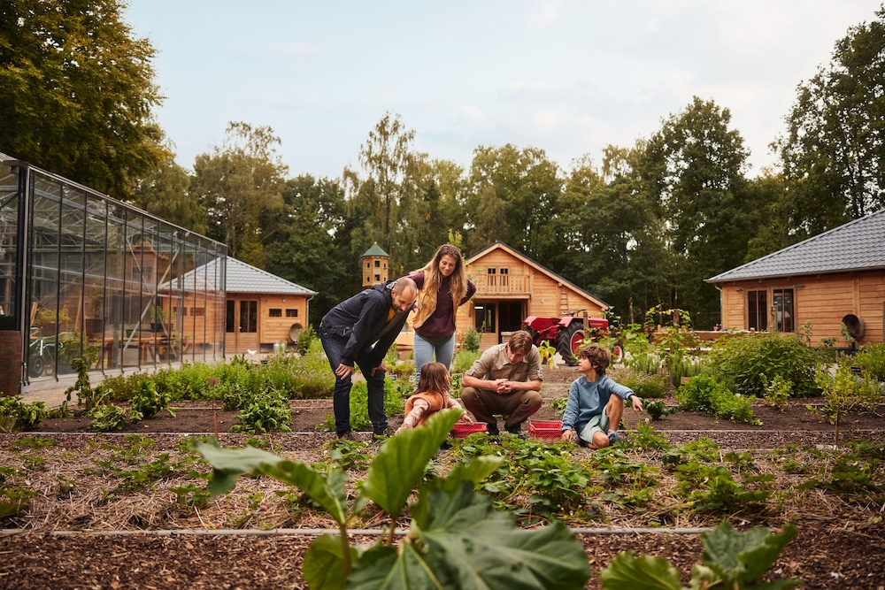 Center Parcs Meerdal Limburg Brabant — 4-Star Luxury Hotel in America, Netherlands