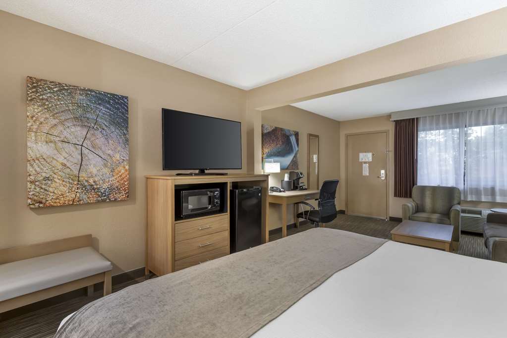 Best Western Plus Landing View Inn & Suites - photo 29