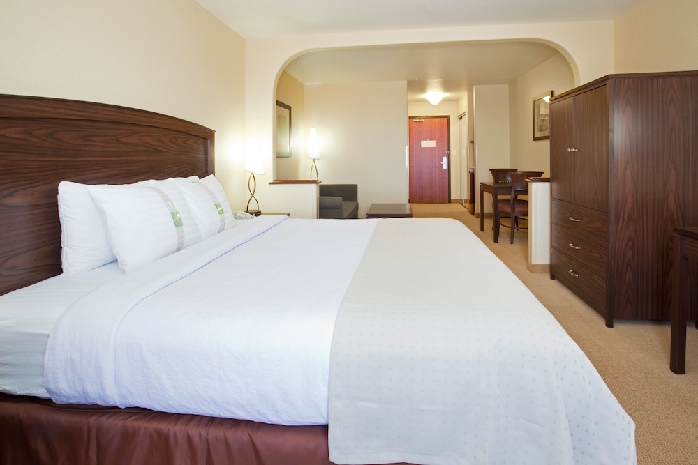 Holiday Inn Denver Parker E470 Parker Road by IHG - photo 9