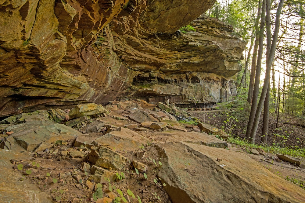Cumberland Falls State Resort Park - photo 114