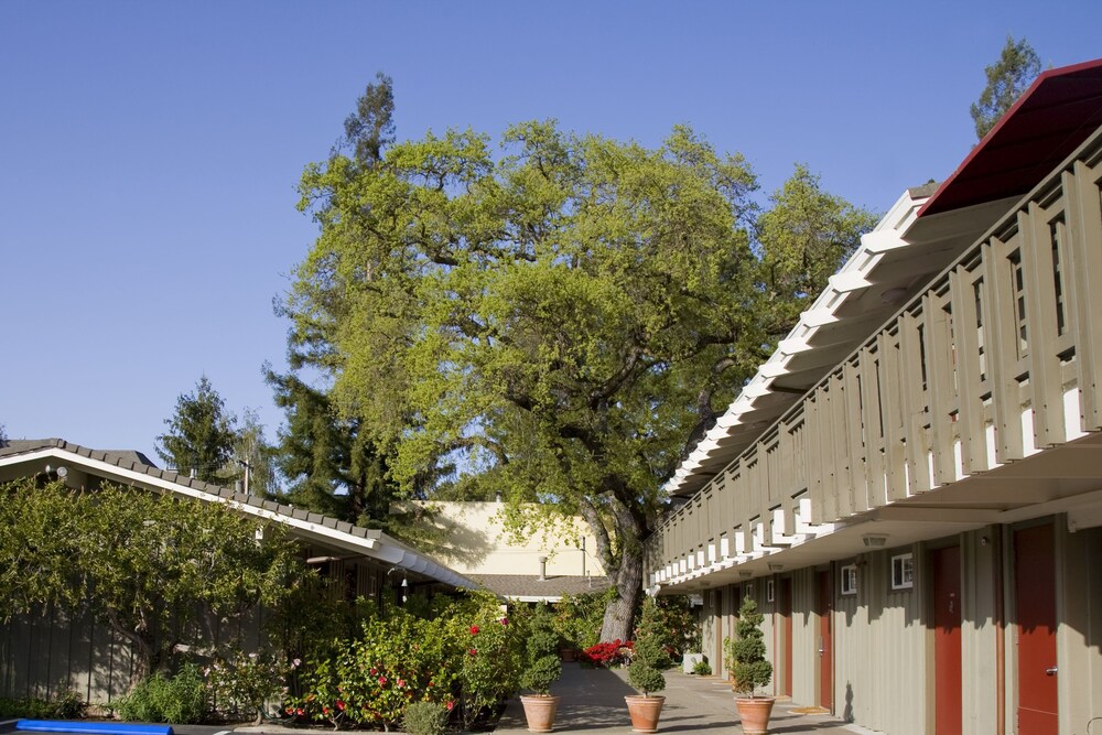 The Cottages Hotel - photo 24