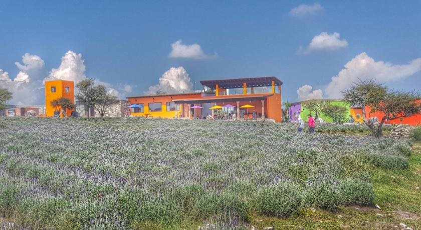 El Macehual in San Miguel De Allende, Mexico