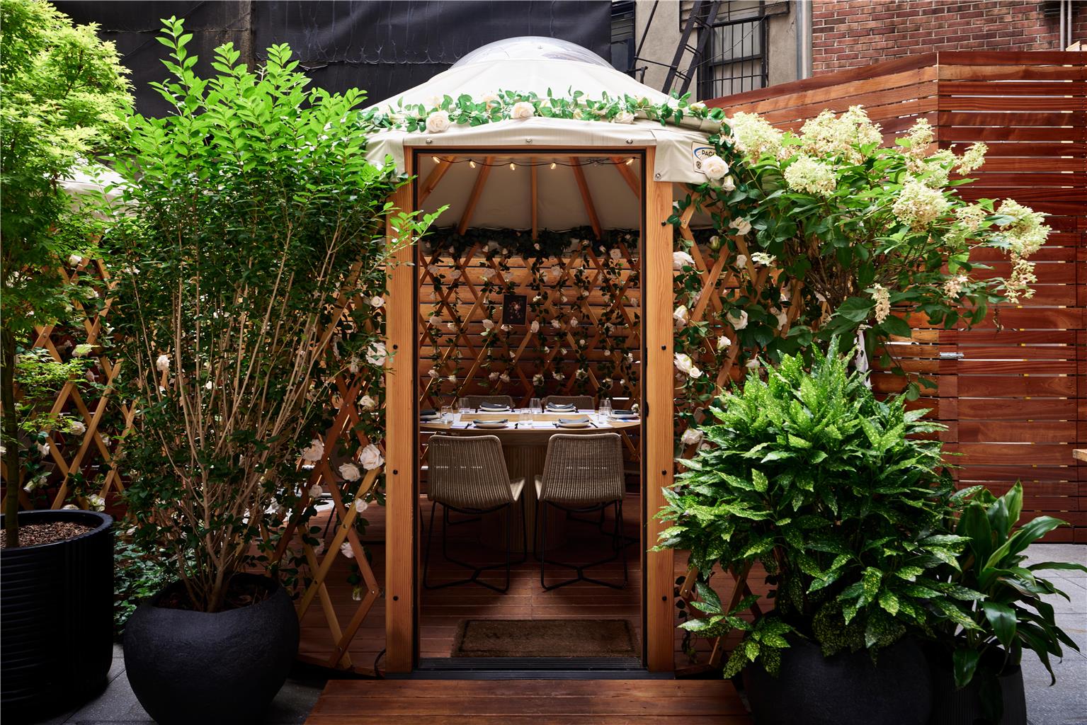 Arlo Soho - photo 112