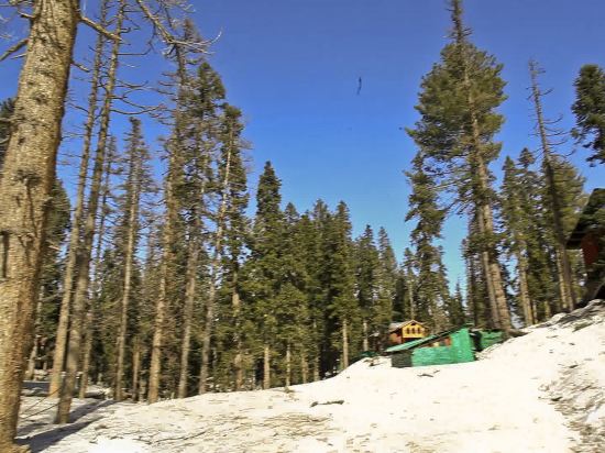 Hotel Alpine Ridge — hotel in Gulmarg