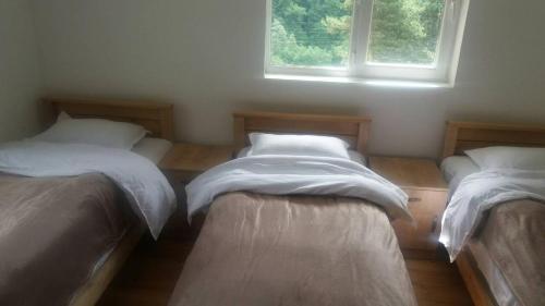 Guesthouse Gama in Khevsureti