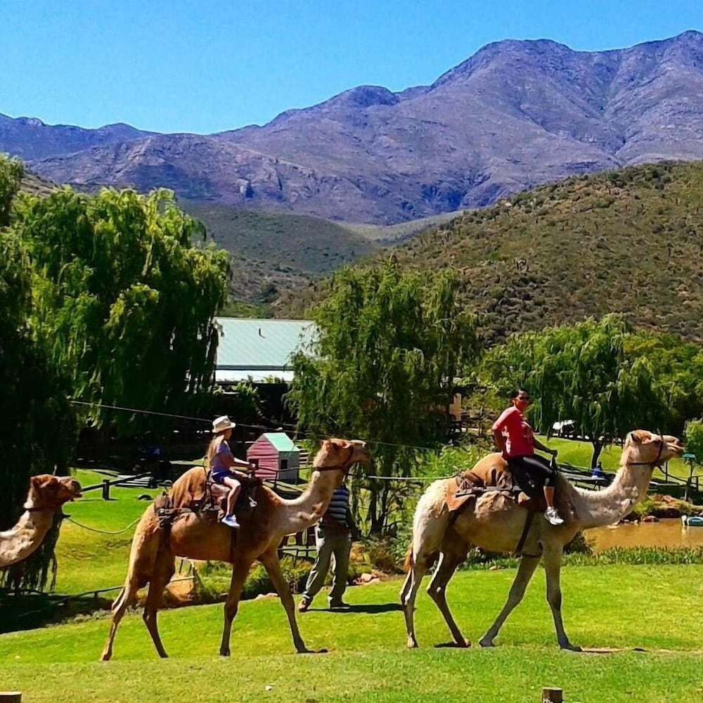 Wilgewandel Holiday Farm & Restaurant in Oudtshoorn, South Africa