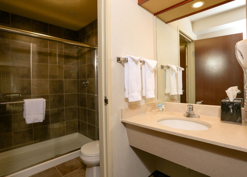 Holiday Inn West Yellowstone by IHG. - photo 89