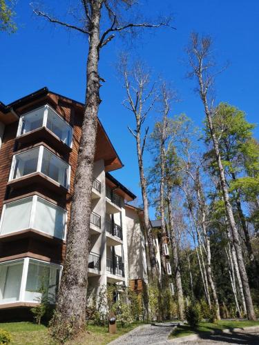 Depto en condo Pucon Andino — 4-Star Luxury Hotel in Pucon, Chile